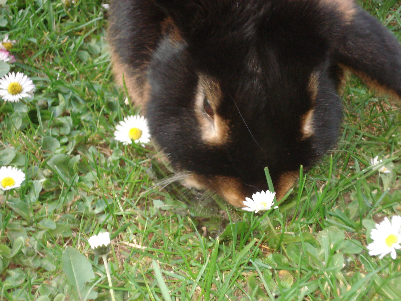 anis+ video 024.jpg