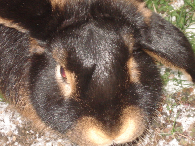 DSC02073.JPG